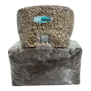 Grain Spawn and Substrate (For Mono Tubs) - 1 set ( 15-30qt)