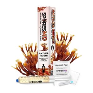 Antler Reishi Mushroom Liquid Culture Syringe - 10ml