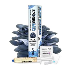 Blue Oyster Mushroom Liquid Culture Syringe - 10ml