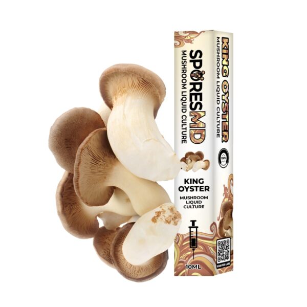 King Oyster Mushroom