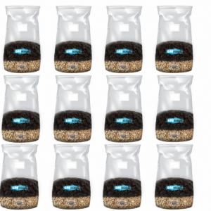 Grow Bag 2lb – Wholesale Case (12-Pack)
