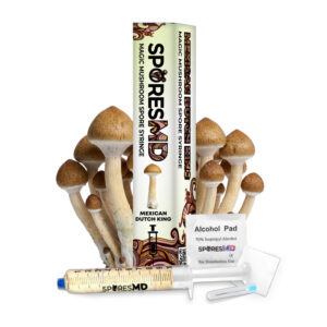 SporesMD Mexican Dutch King Mushroom Liquid Culture 10mL