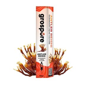 Antler Reishi Mushroom Liquid Culture Syringe