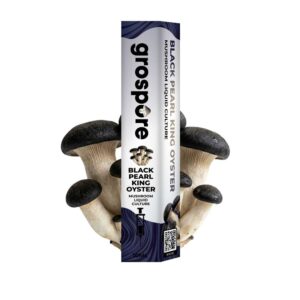 Black Pearl King Oyster Mushroom Liquid Culture Syringe