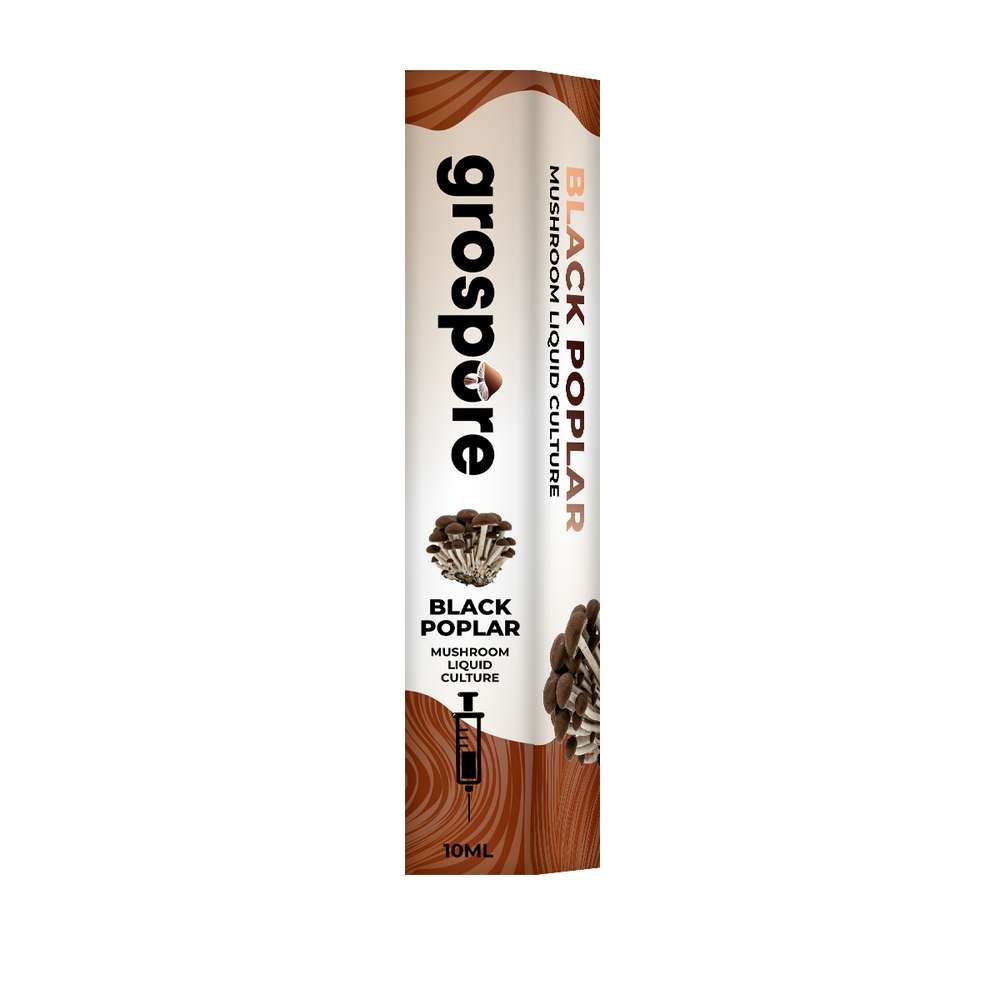 Black Poplar Mushroom Liquid Culture Syringe – 10ml