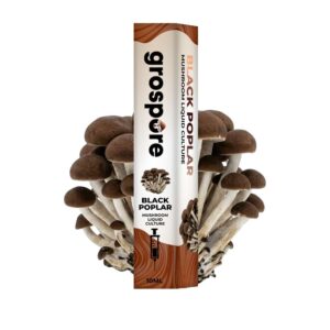 Black Poplar Mushroom Liquid Culture Syringe
