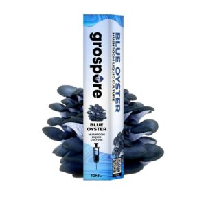 Blue Oyster Mushroom Liquid Culture Syringe – 10ml