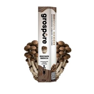 Brown Beech Mushroom Liquid Culture Syringe – 10ml