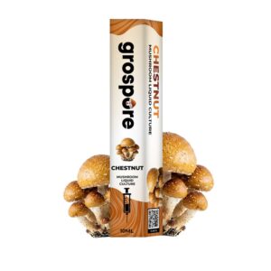 Chestnut Mushroom Liquid Culture Syringe – 10ml