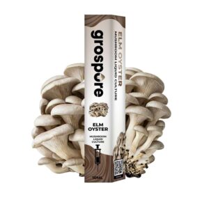 ELM Oyster Mushroom Liquid Culture Syringe – 10ml