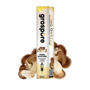 Grospore King Oyster Mushroom Liquid Culture Syringe – 10ml