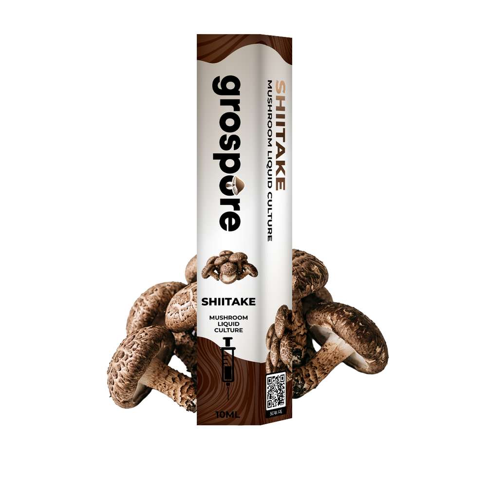 Grospore Shiitake Mushroom Liquid Culture Syringe – 10ml